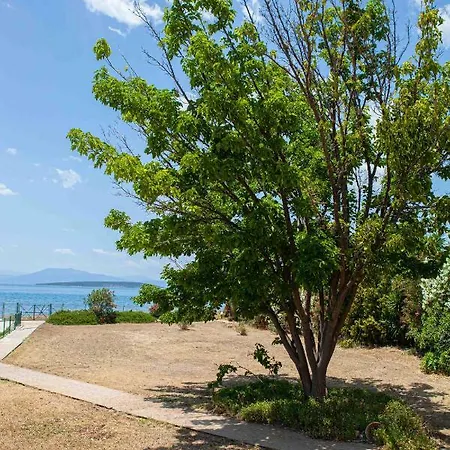 Villaevanafplion Σπίτι διακοπών