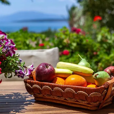 Villaevanafplion Paralia Irion